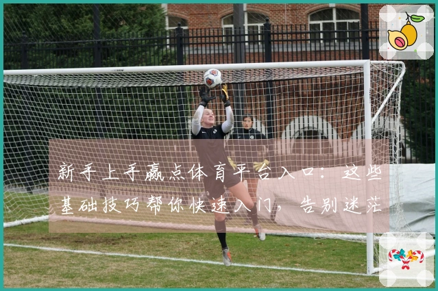 新手上手赢点体育平台入口：这些基础技巧帮你快速入门，告别迷茫