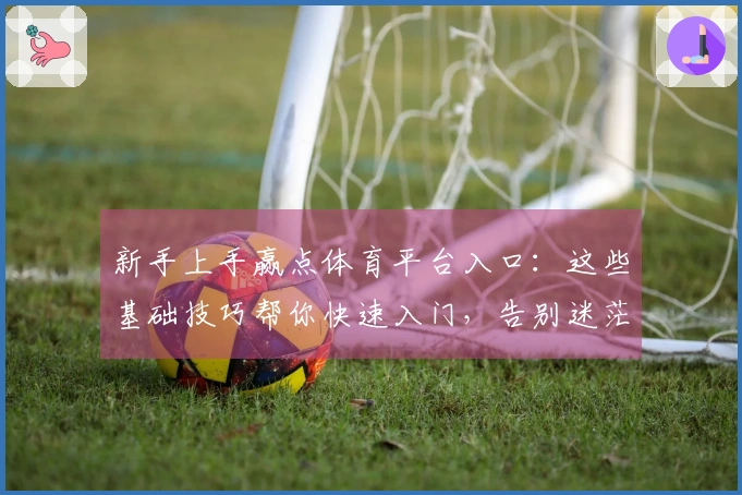 新手上手赢点体育平台入口：这些基础技巧帮你快速入门，告别迷茫